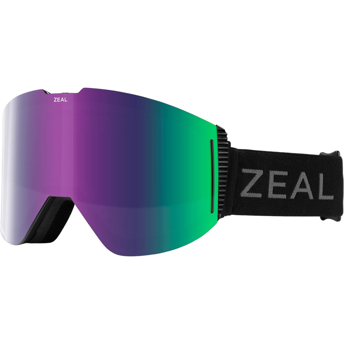 Lookout Adult Ski Goggles