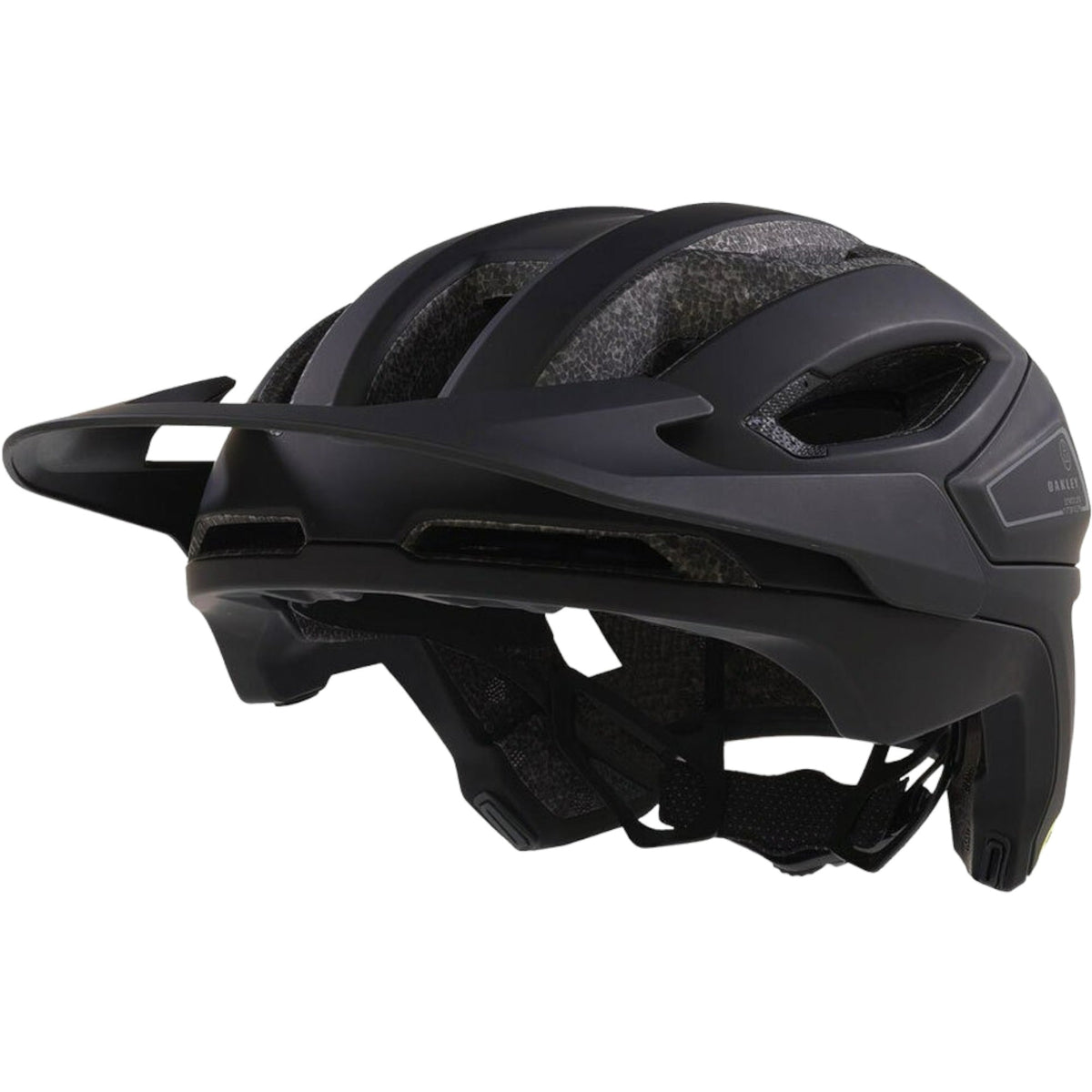 Oakley Matte Noir/Satin BK.96J L