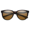 Lunettes de Soleil Seeker Adulte