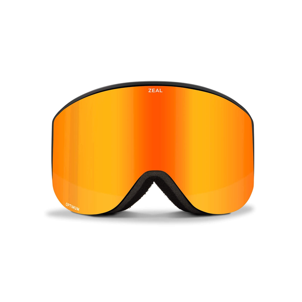 Lunettes de Ski Beacon Adulte