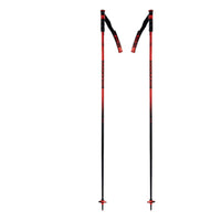 Hero SL Adult Ski Poles