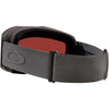 Fall Line L Adult Ski Goggles