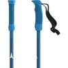 AMT Kids Ski Poles