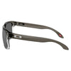 Lunettes de Soleil Holbrook Adulte