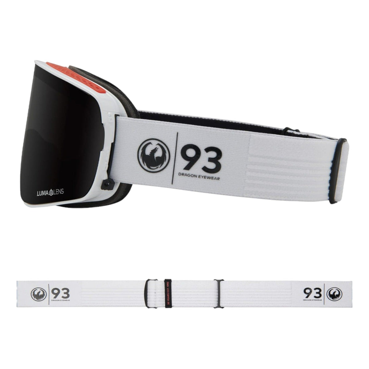 NFX2 Adult Ski Goggles