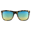 Lunettes de Soleil Charter Adulte
