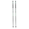 Triad Adult Ski Poles