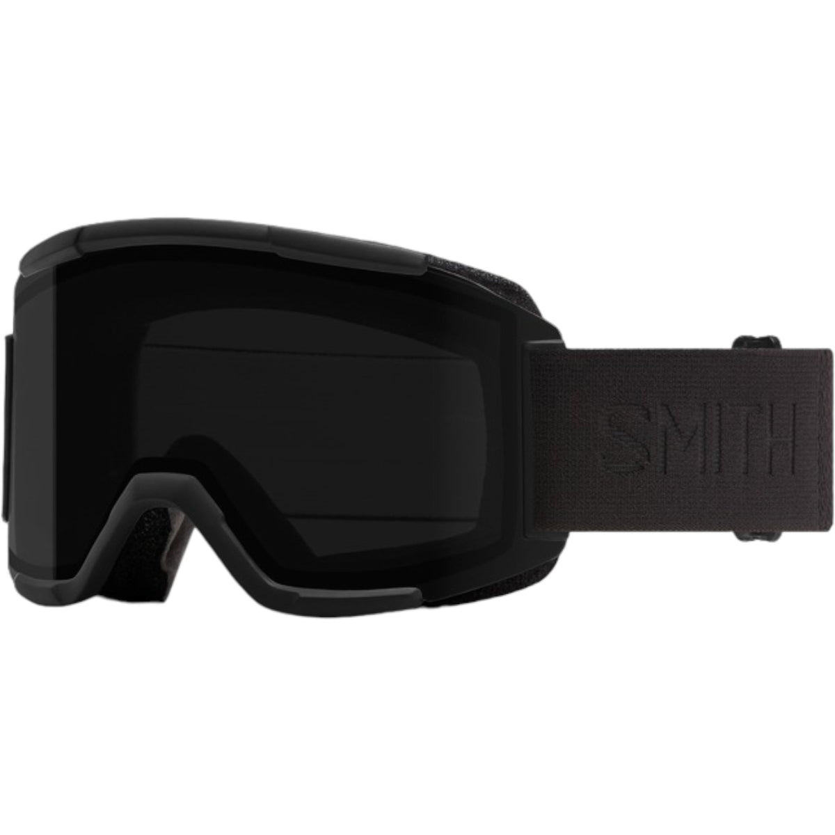 Lunettes de Ski Squad Adulte