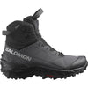 Salomon Asphal/Noir/Sharkskin 10.0