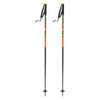Bâtons de Ski Wallischtick Adulte