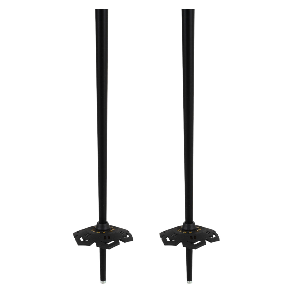 Triad BB Adult Ski Poles
