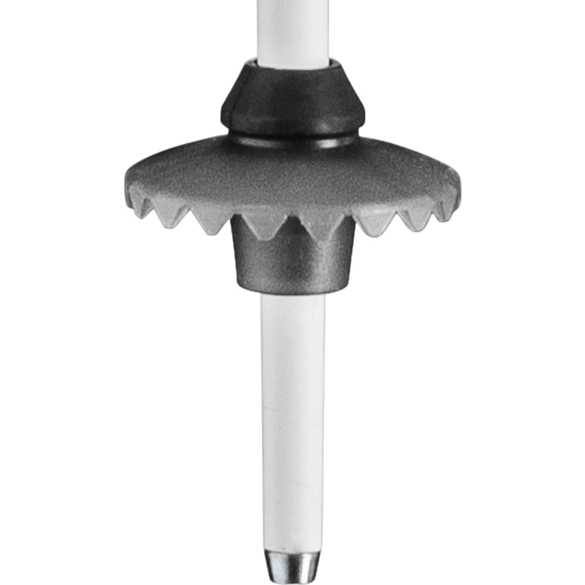 Bâtons de Ski Stella S Femme