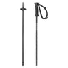 Polar Adult Ski Poles