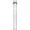Dynamic D3 Just Click Adult Cross-Country Ski Poles