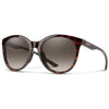 Smith  Tortoise/PlrBwGrad.102
