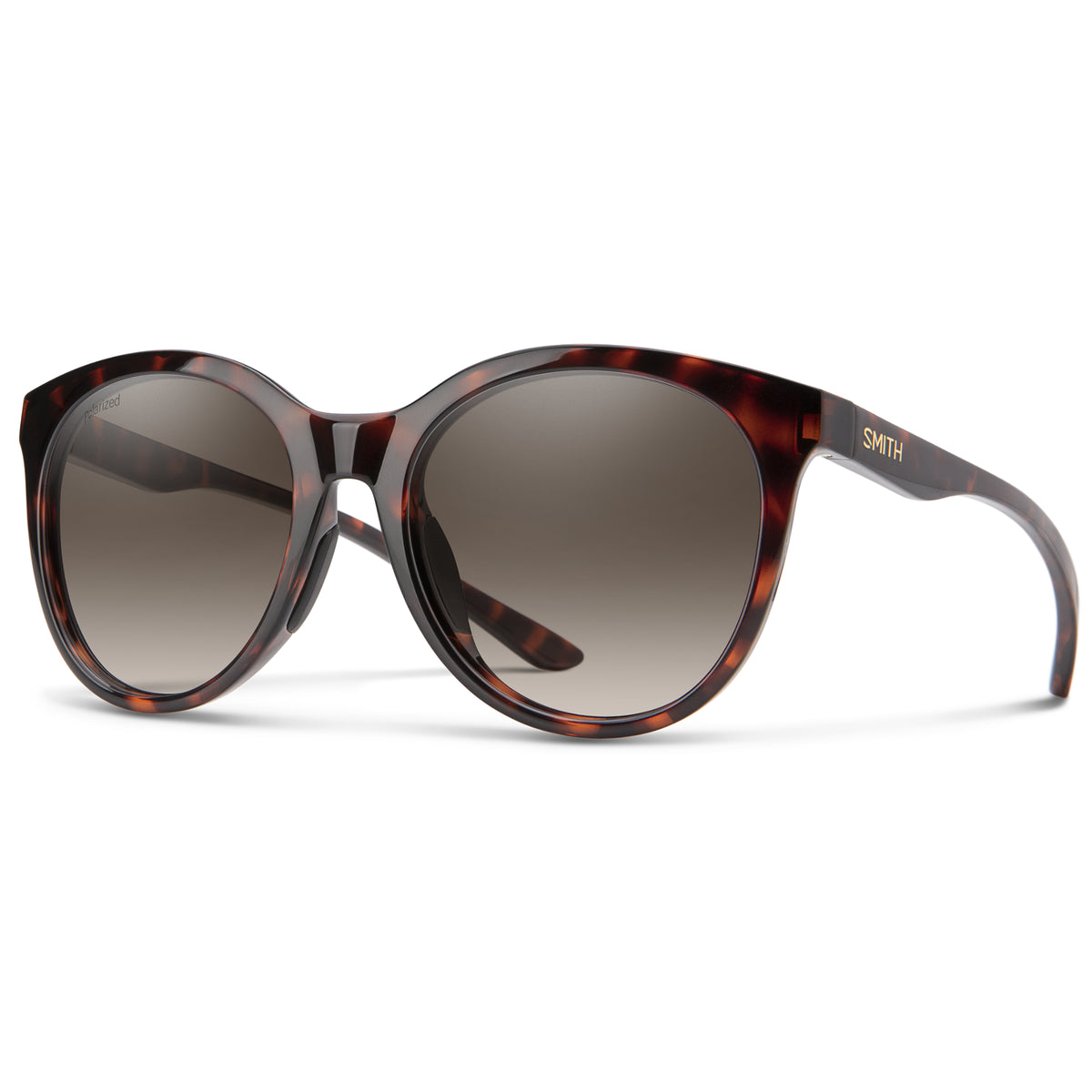 Smith  Tortoise/PlrBwGrad.102