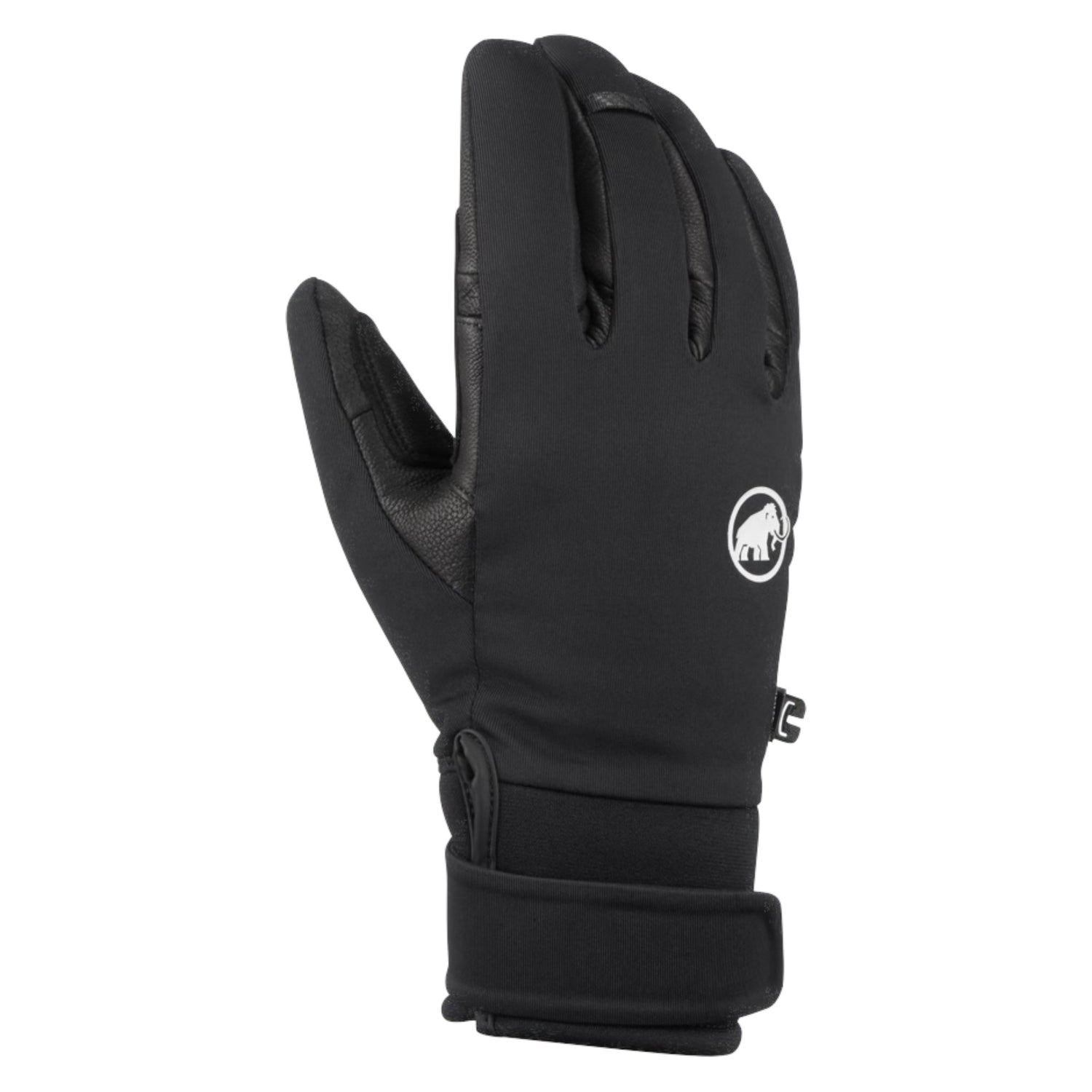 Mammut Noir.0001 10