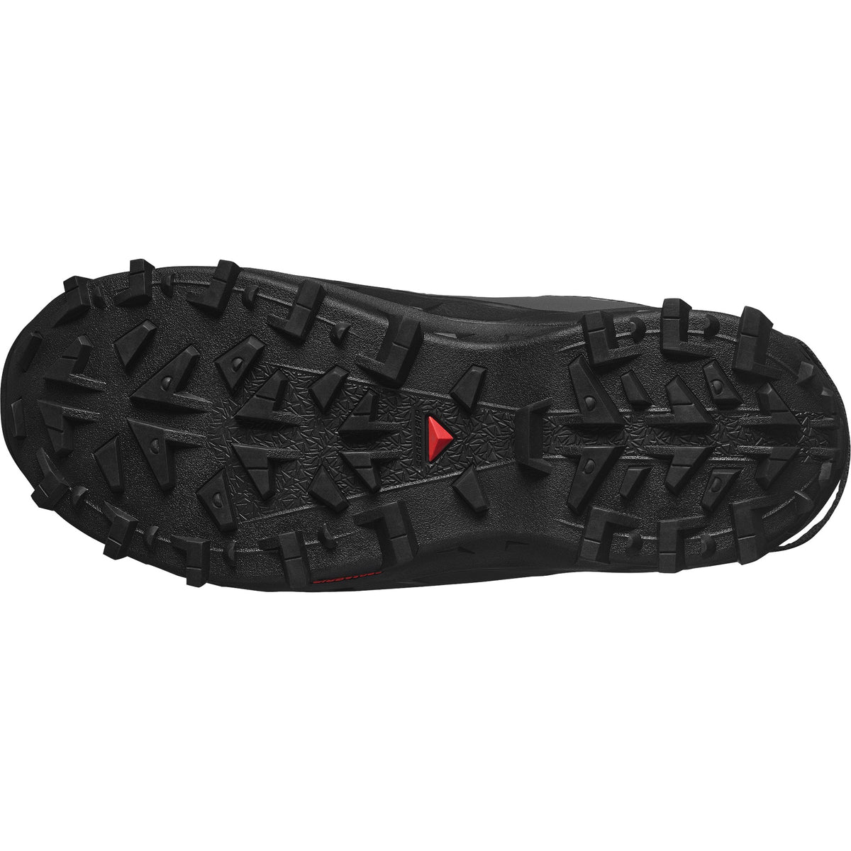 Salomon Asphal/Noir/Sharkskin 10.0