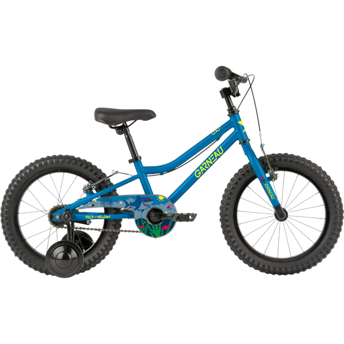 FR-16 Kids Hybrid Bike