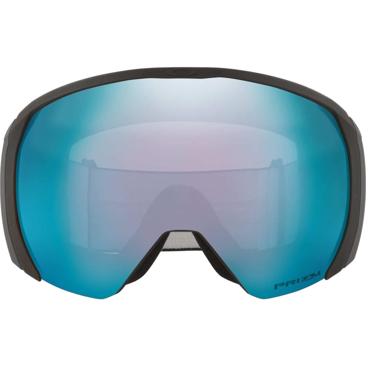 Flight Path L Adult Ski Goggles