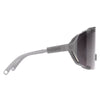 Devour Adult Sunglasses