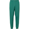 Descente Sturdy Green.GR99 M