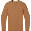 Merino 250 Crew Men Base Layer