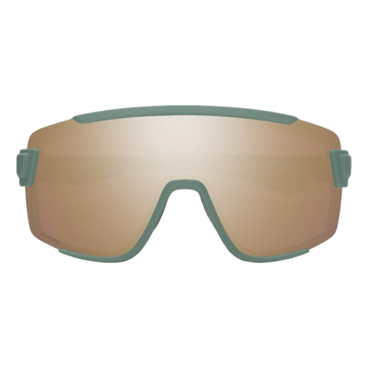 Lunettes de Soleil Wildcat Adulte