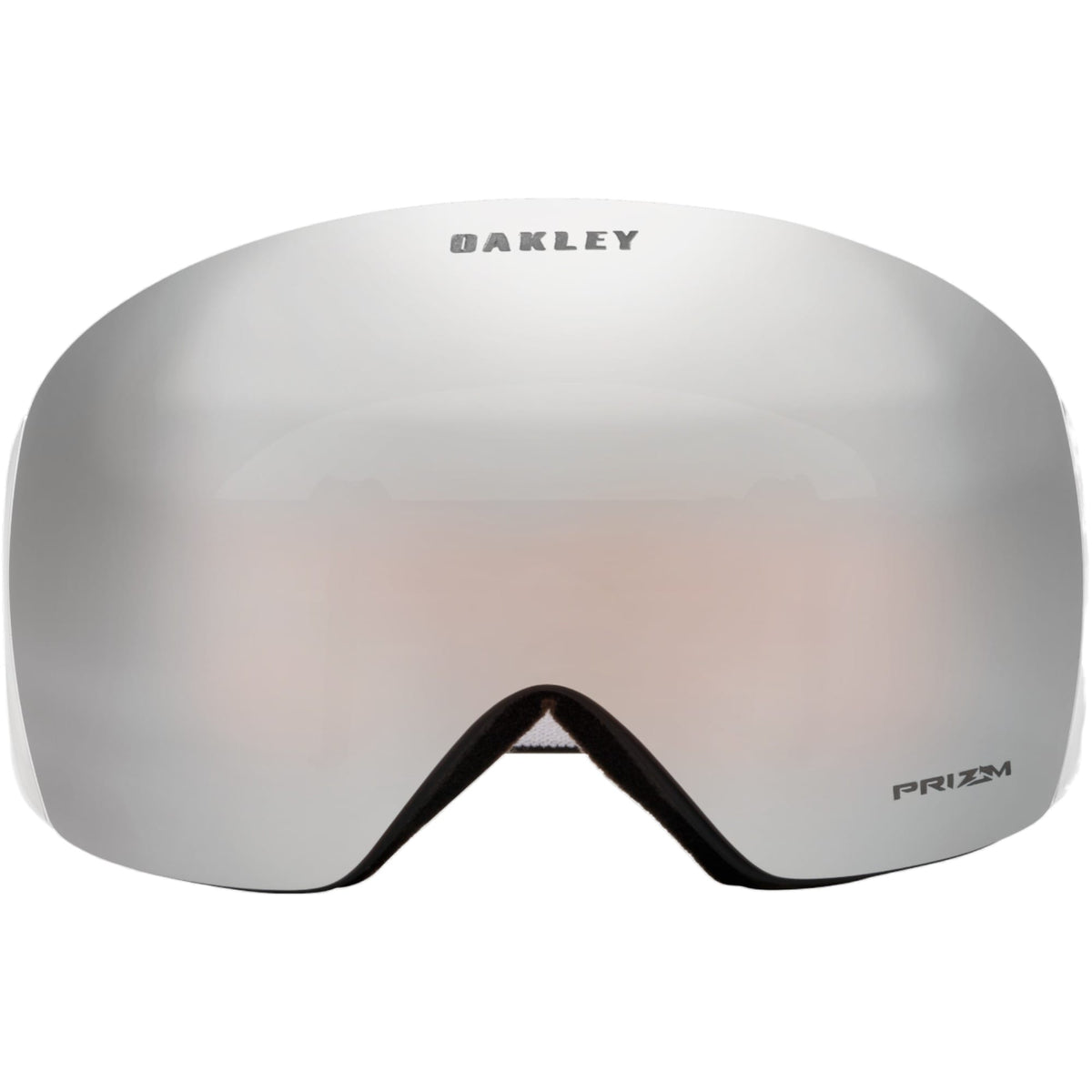 Flight Deck L Adult Ski Goggles