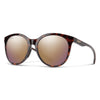 Bayside Adult Sunglasses