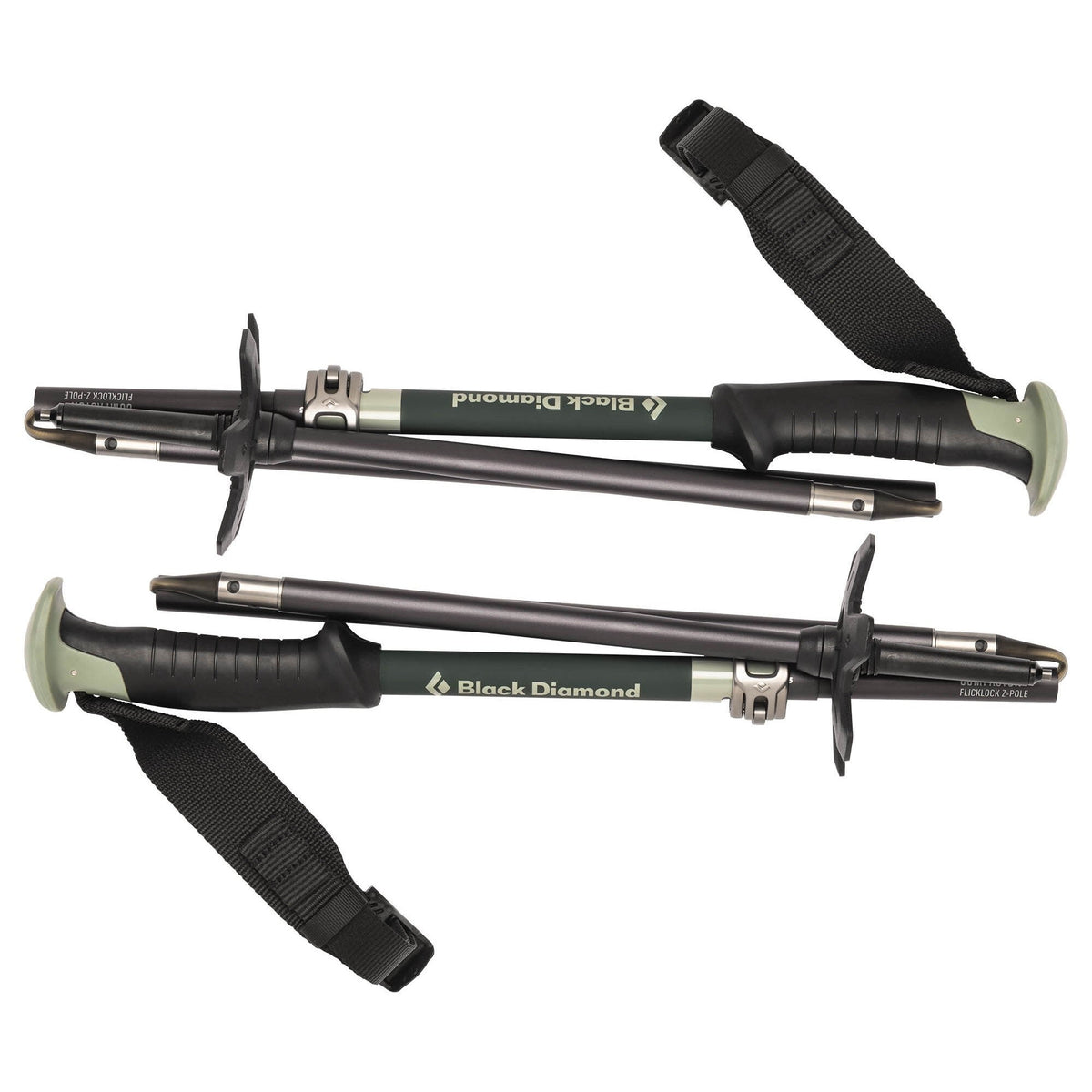 Compactor Adult Ski Poles