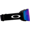 Fall Line L Adult Ski Goggles