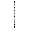 Legion Adult Ski Pole