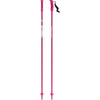 AMT Kids Ski Poles