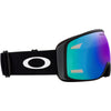 Flight Tracker L Adult Ski Goggles