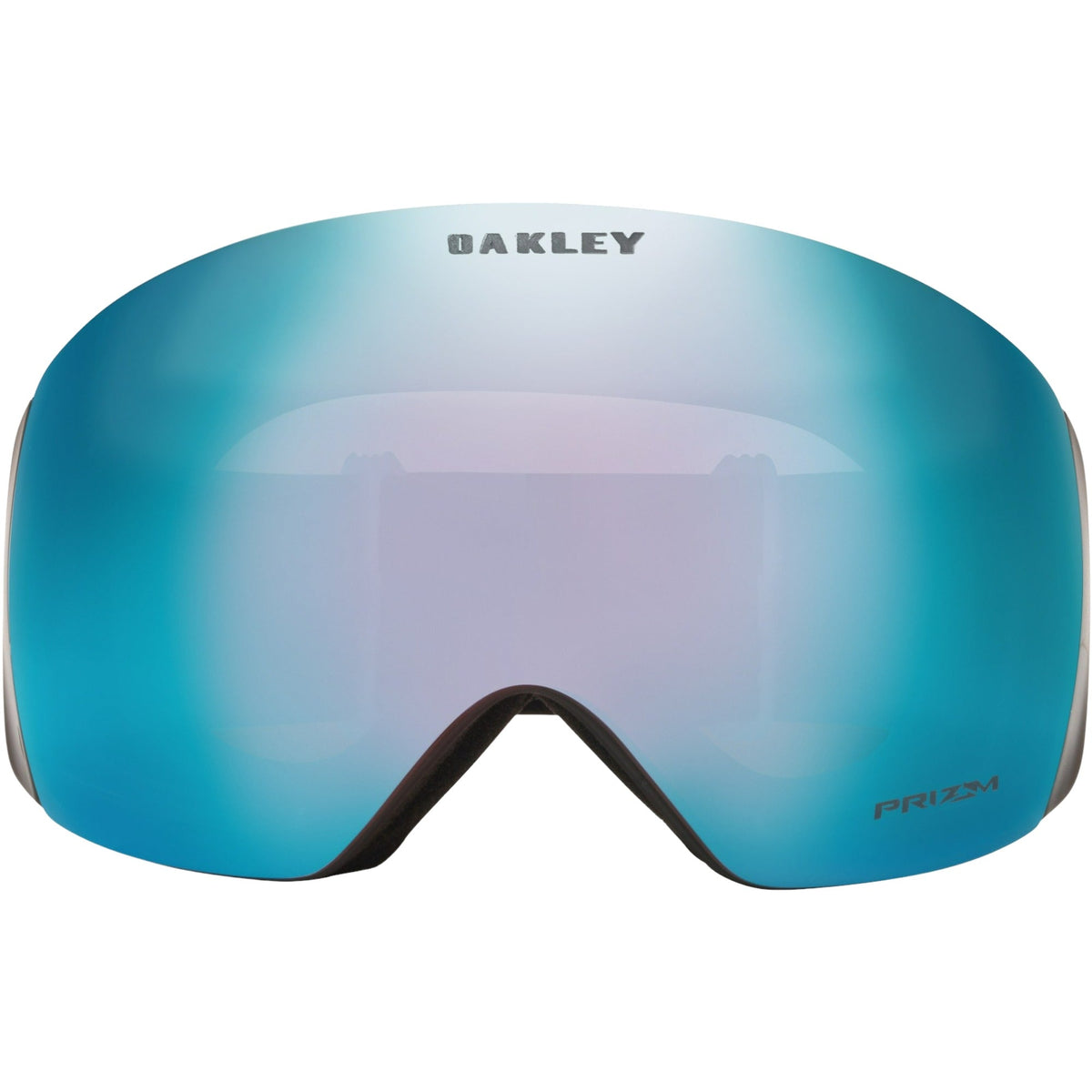 Flight Deck L Adult Ski Goggles