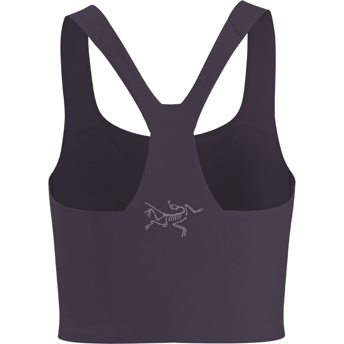 Arc'teryx Moondrop.022619 L