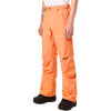 Axis Insulated Men Snow Pants