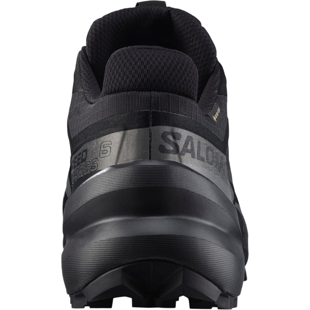Souliers de Course de Sentier Speedcross 6 GTX Homme