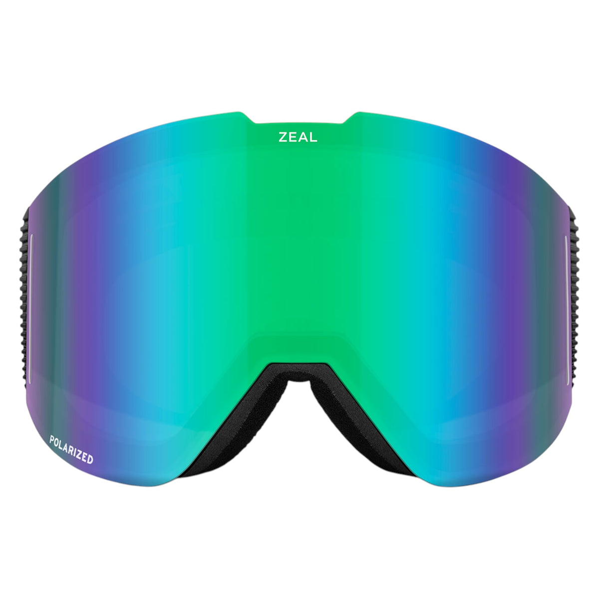 Lunettes de Ski Lookout RLS+ODT Adulte