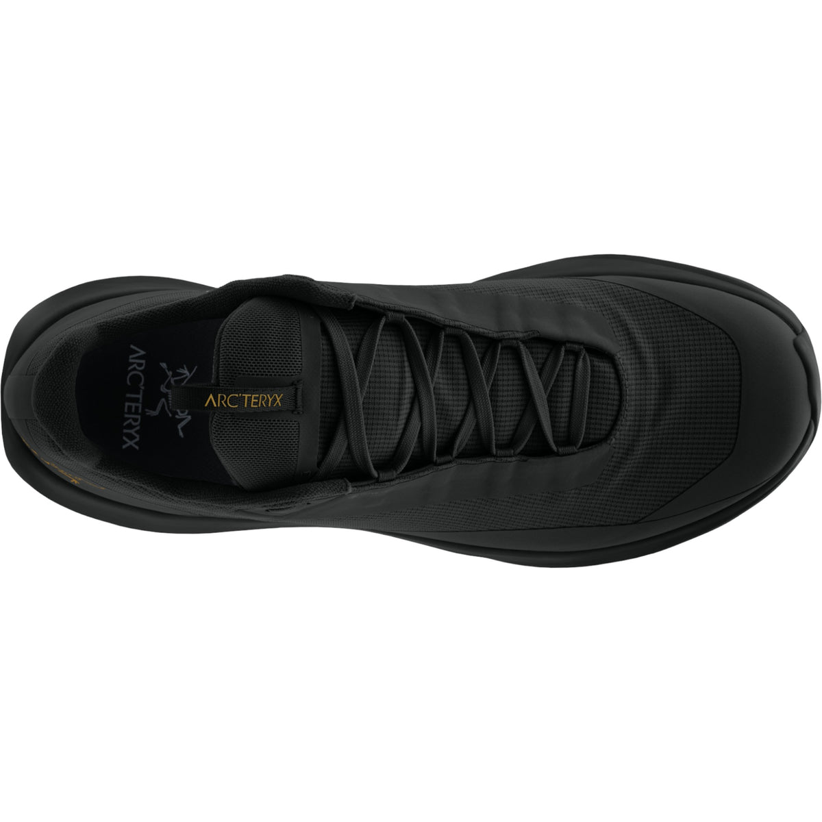 Arc'teryx Noir/Noir.001704 4.5