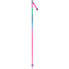 Rossignol Rainbow 110