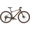 DSX 2 Adult Bike