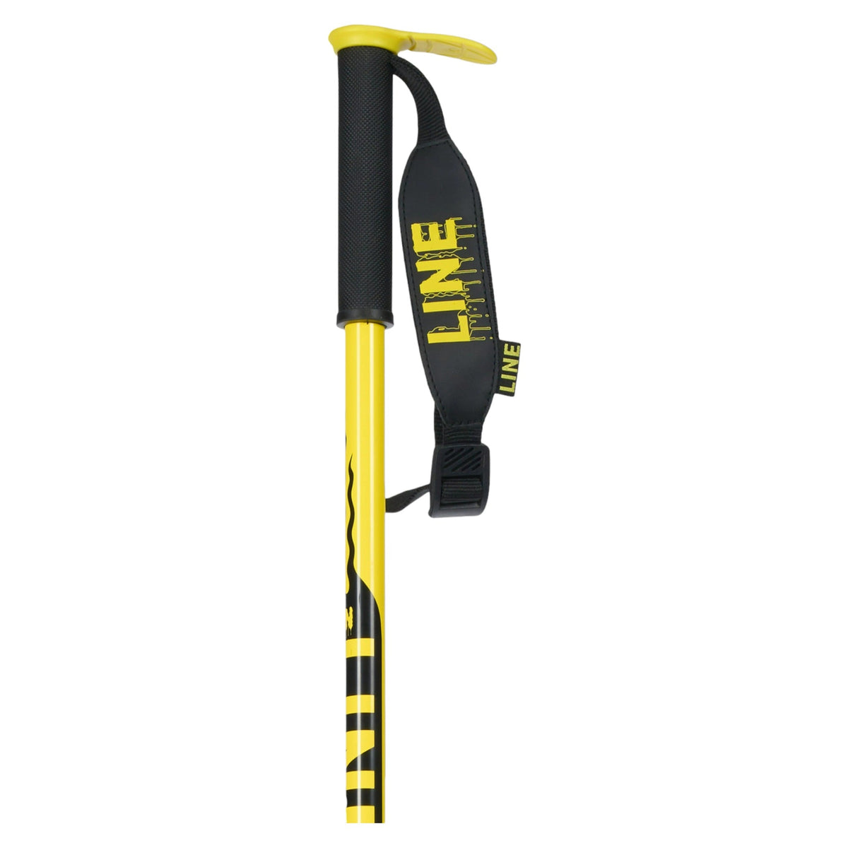 Pin Men Ski Poles