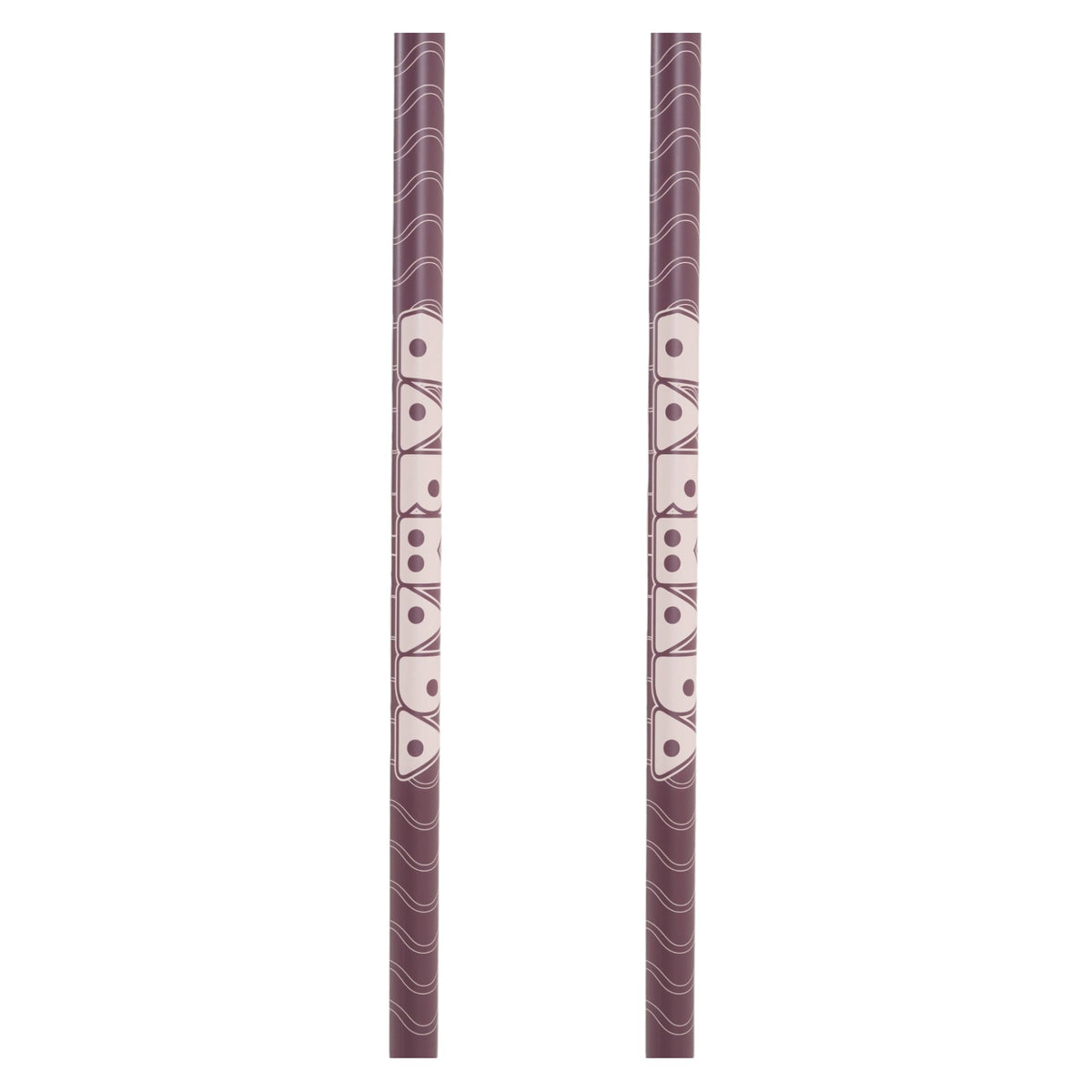 Triad Adult Ski Poles