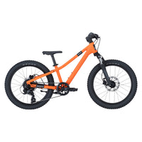Roxter 200 Kids Mountain Bike