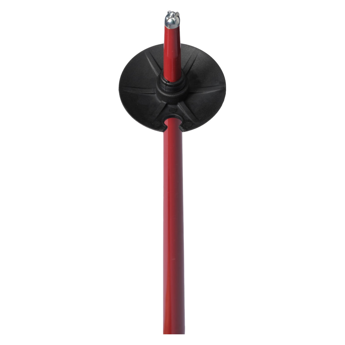 Wallischtick Adult Ski Poles