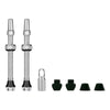 Valve Tubeless V2