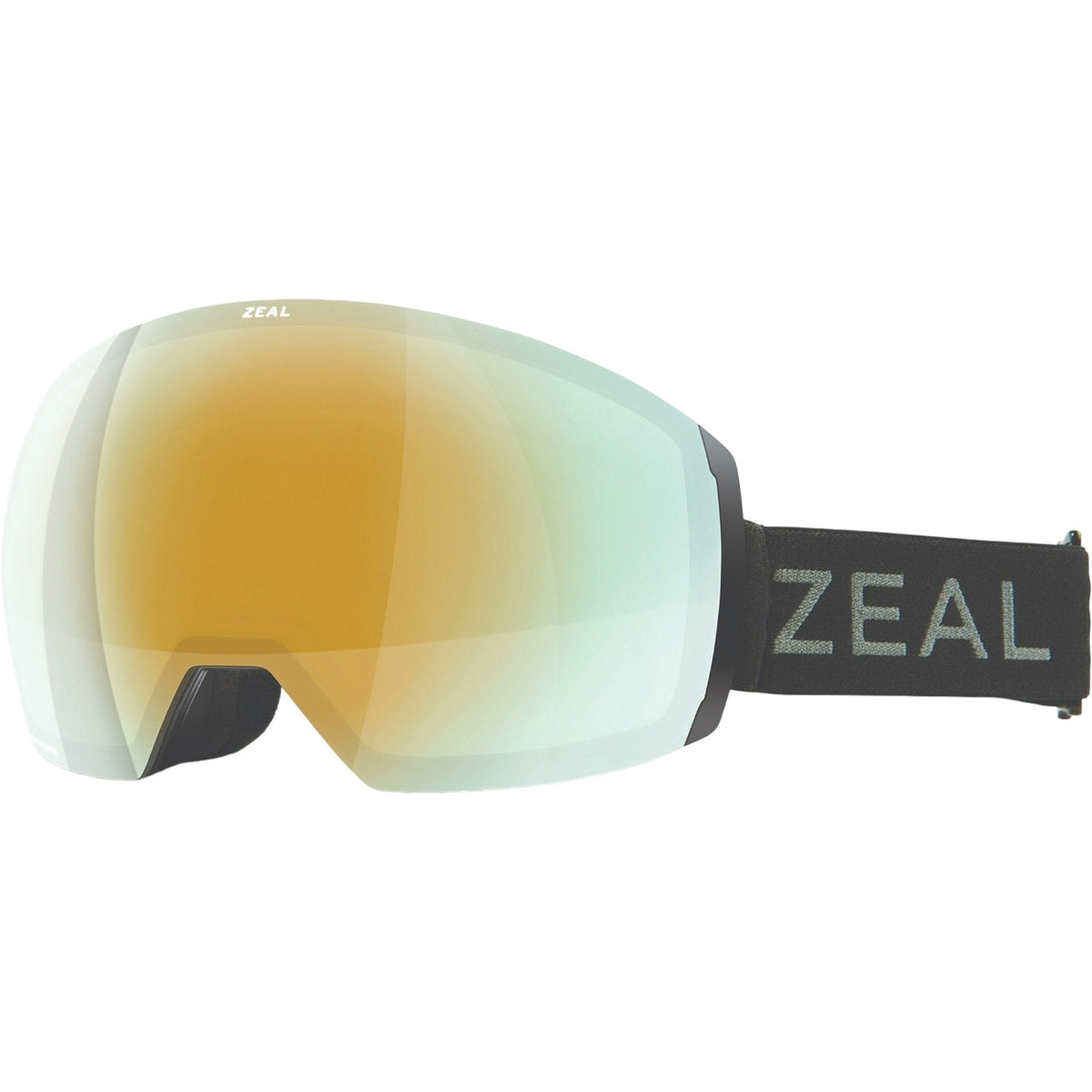 Portal XL Adult Ski Goggles