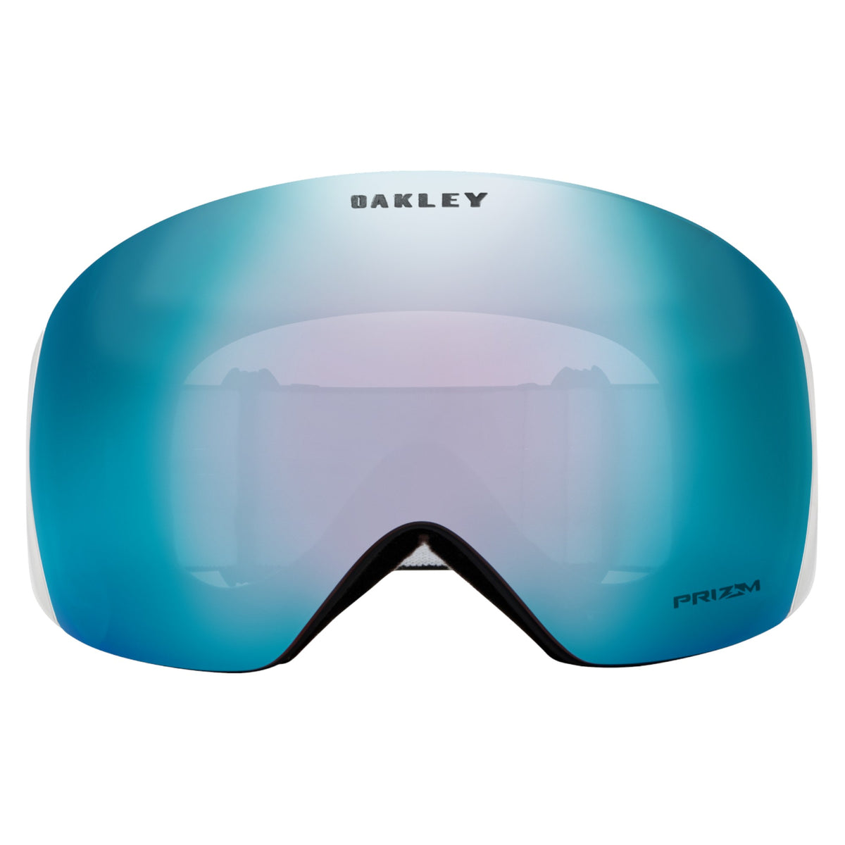 Flight Deck L Adult Ski Goggles